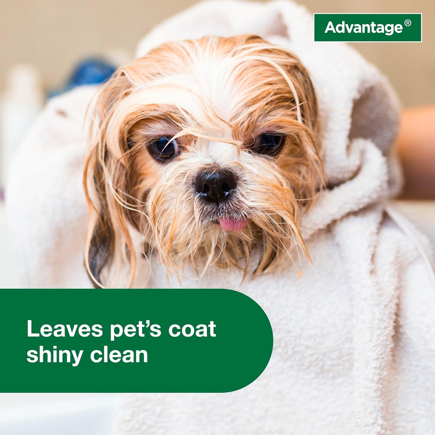 12 Oz Flea & Tick Shampoo for Puppies & Adult Dogs .