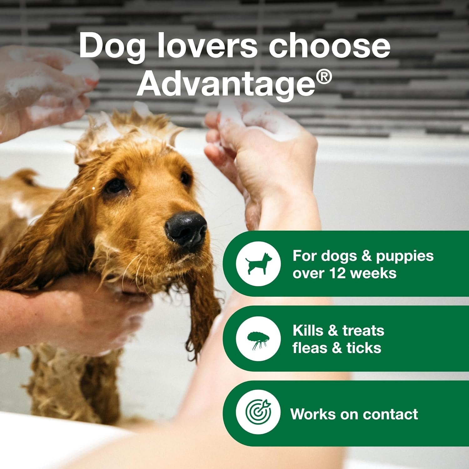 12 Oz Flea & Tick Shampoo for Puppies & Adult Dogs .