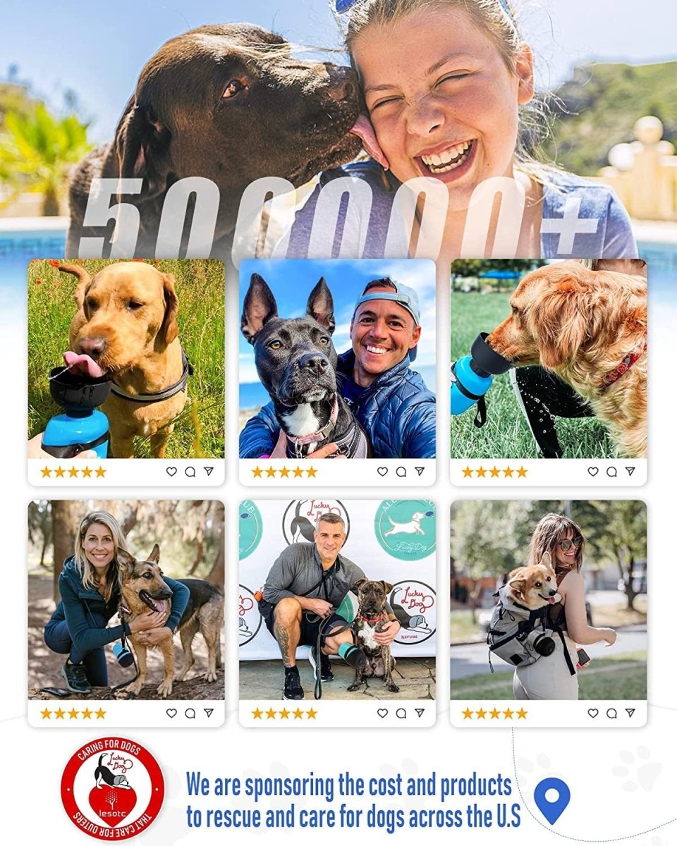 2022 Upgraded Pet Water Bottle