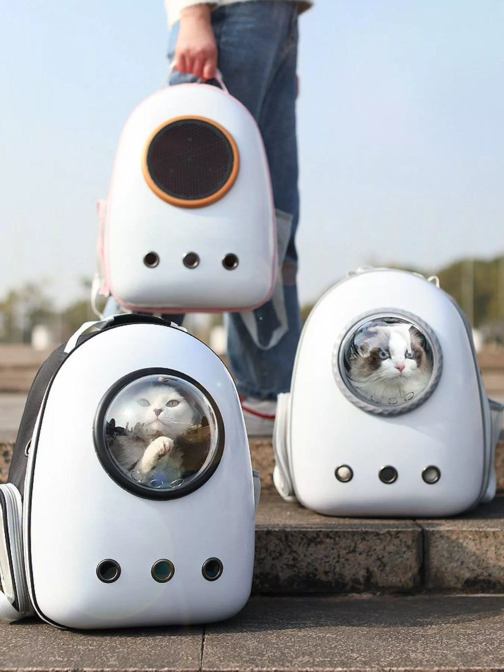 Space Capsule Transparent Pet Carrier Backpack