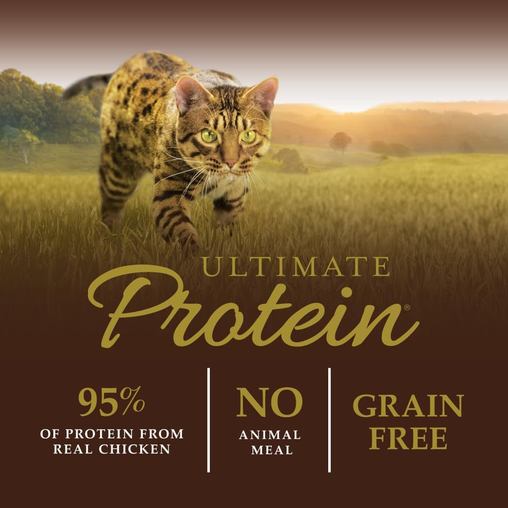 Natural Dry Cat Food, 10 Lb. Bag