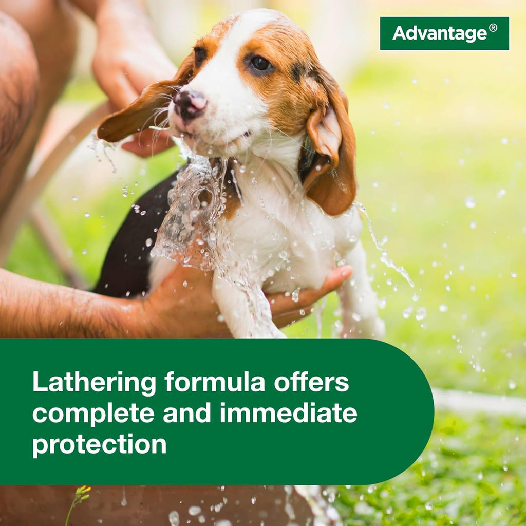 12 Oz Flea & Tick Shampoo for Puppies & Adult Dogs .
